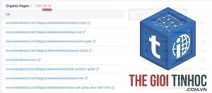 top pages keywords semrush
